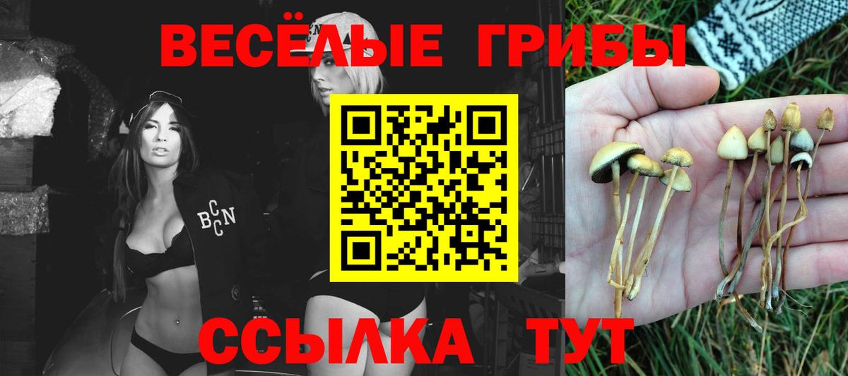 Галлюциногенные грибы Psilocybe Верхняя Салда